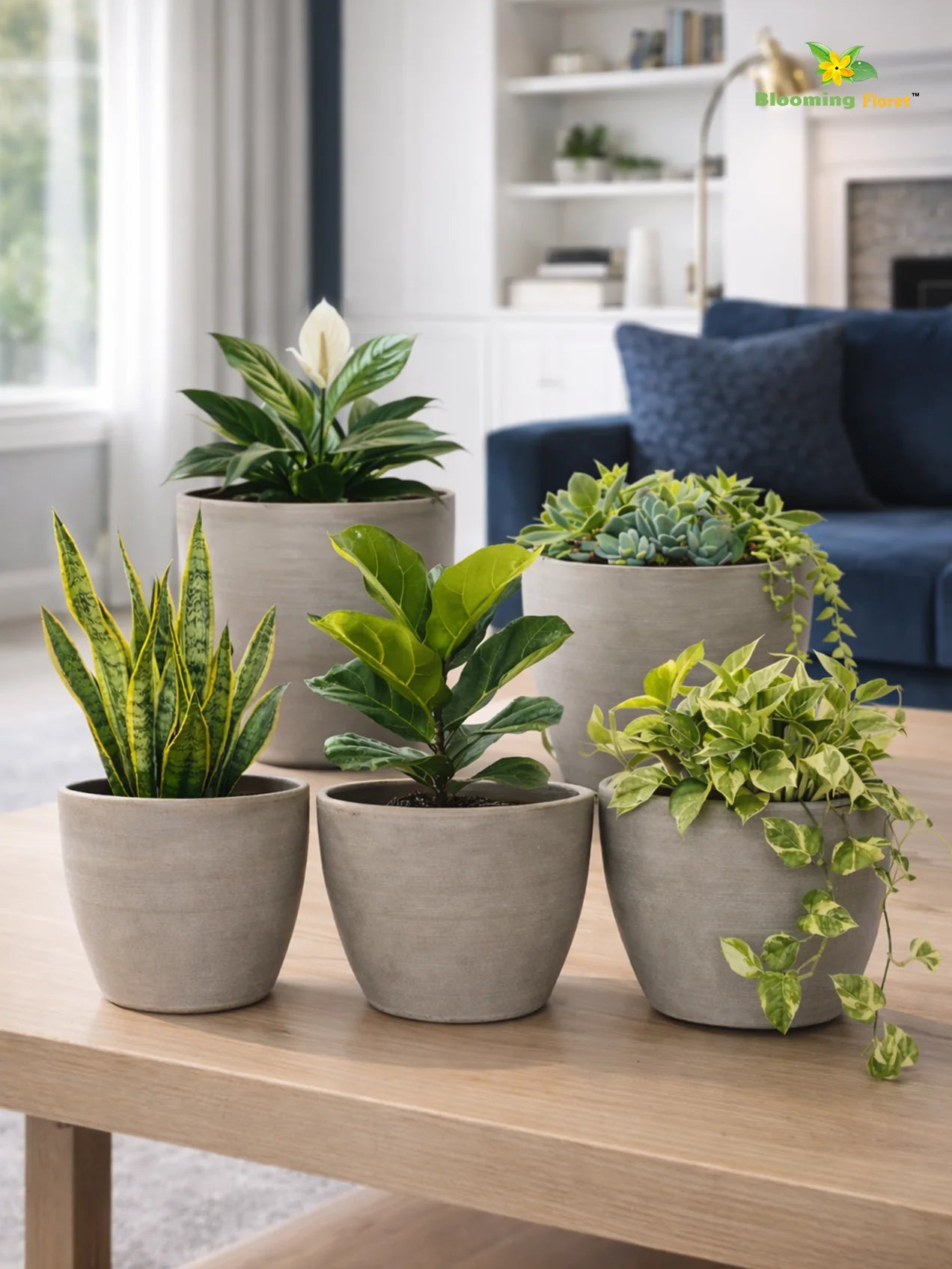 Decorative Pots | Light Brown | 12 cm | Set of 5