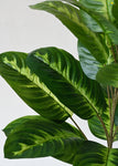 Artificial Jungle Velvet Plant for Decor | 21 Leaves with Basic Pot | 78.7 cm
