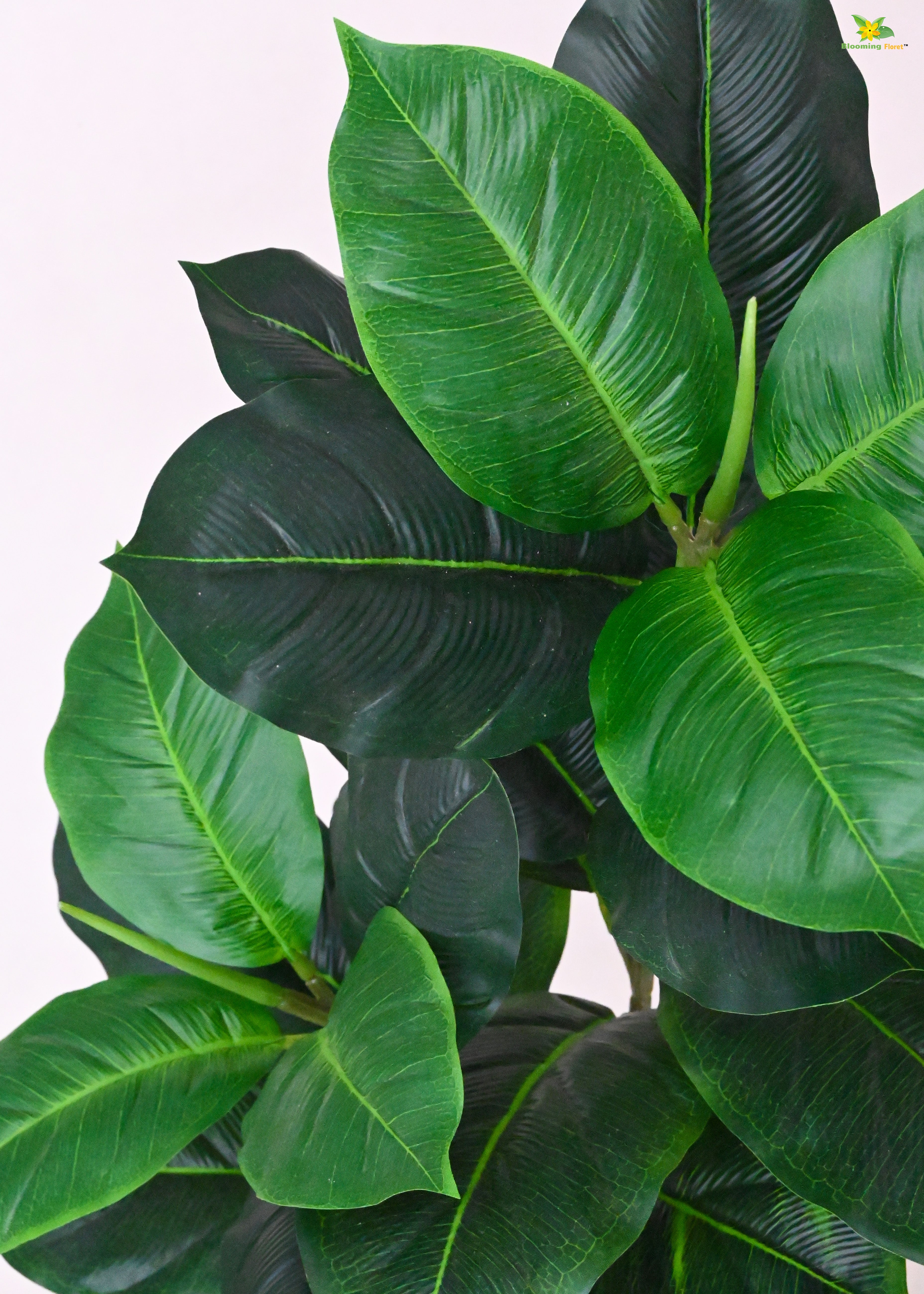 Artificial Rubber Fig Plant for Decor | 24 Leaves with Basic Pot | 74.9 cm