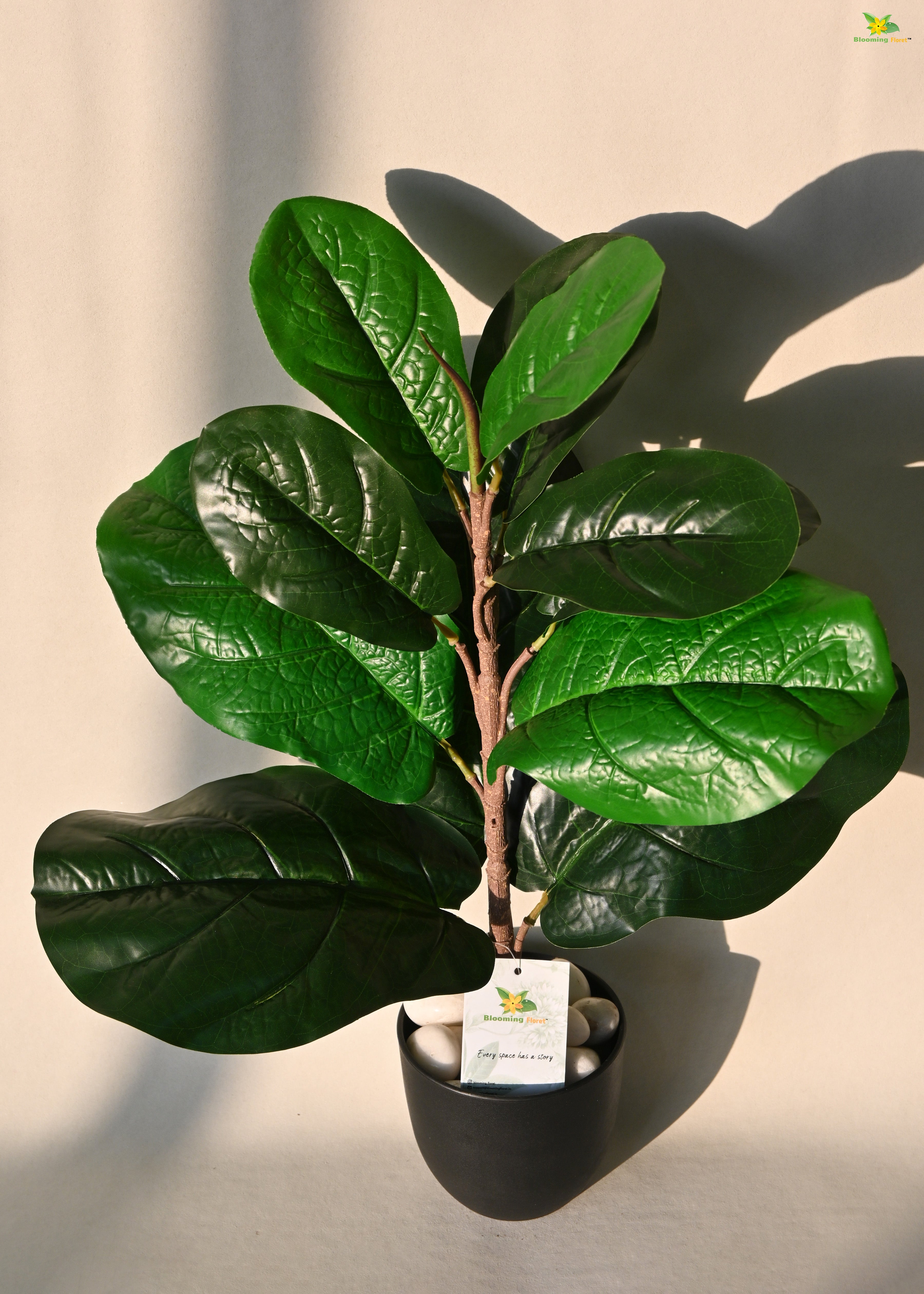 Artificial Fiddle-Leaf Fig Plant for Decor 11 Leaves with Basic Pot | 58.4 cm