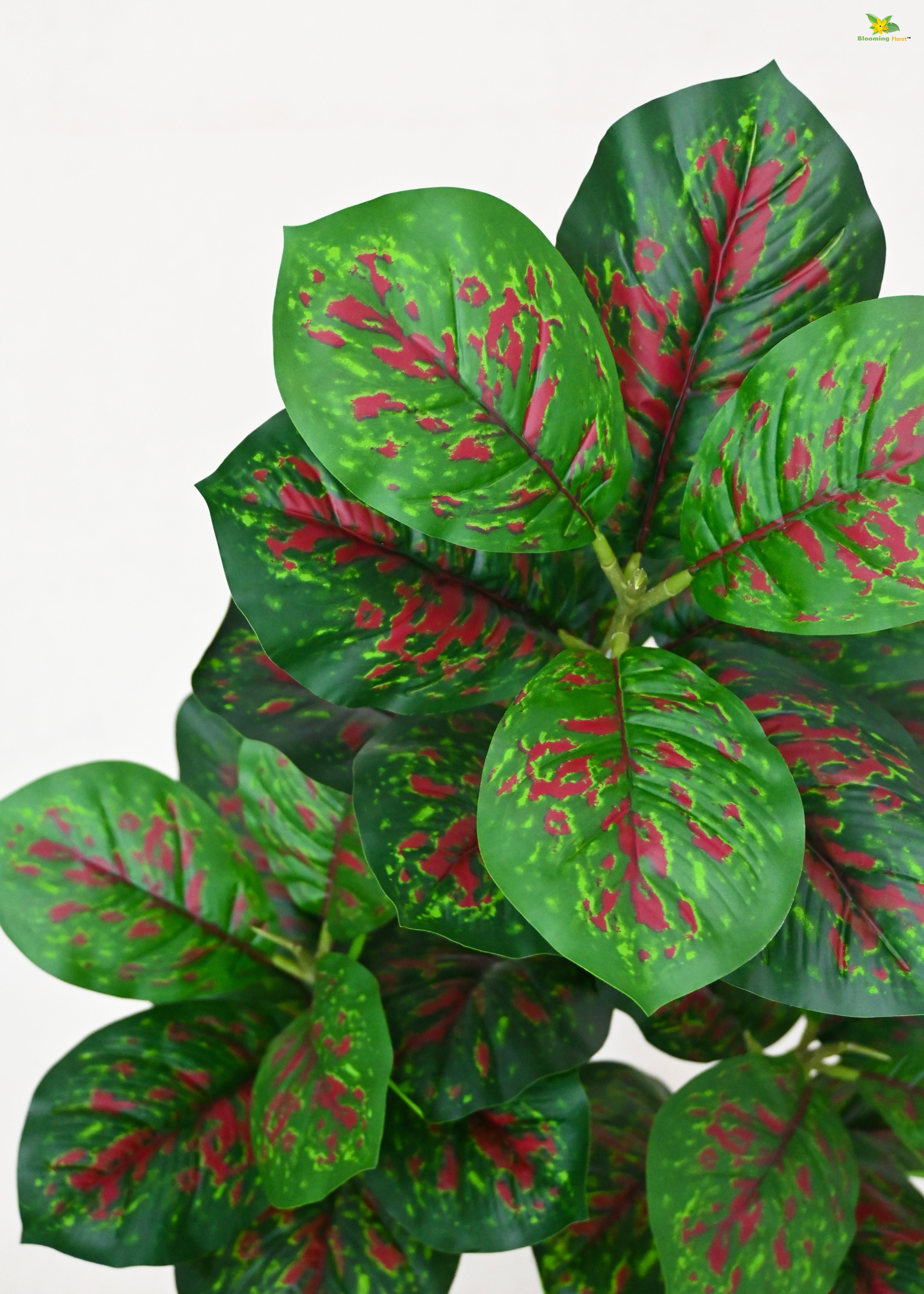 Artificial Aglaonema Plant for Decor | 33 Leaves with Basic Pot | 95 cm