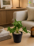 Artificial Ivy Succulent | Green | Small Leaves | 10 cm