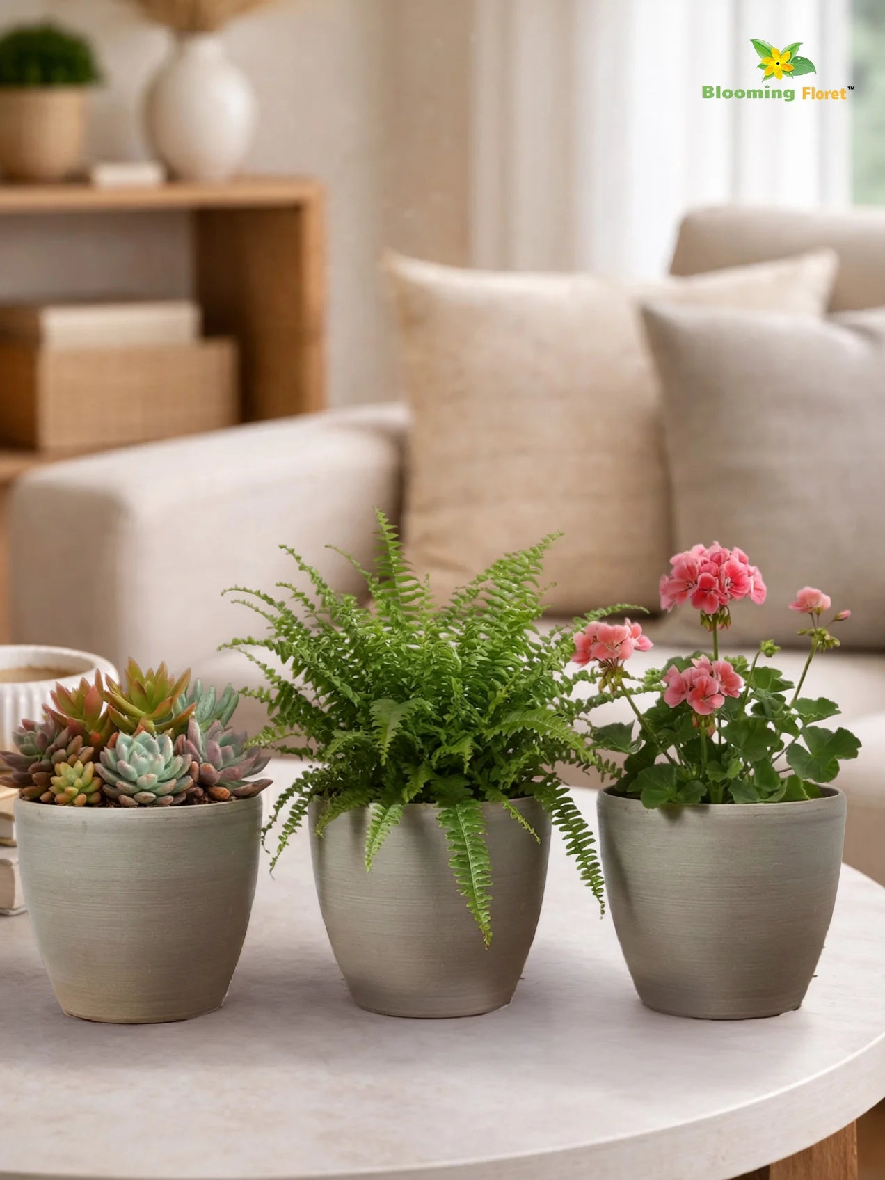 Decorative Pots | Light Brown | 15 cm | Set of 3