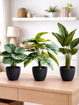 Elegant Ribbed Melamine Pot | Black | 15 cm | Set of 3