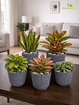 Ribbed Pattern Round Planter | 11.5 cm | Set of 5