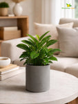 Cylinder Base Fiber Pot | Grey | 14 cm