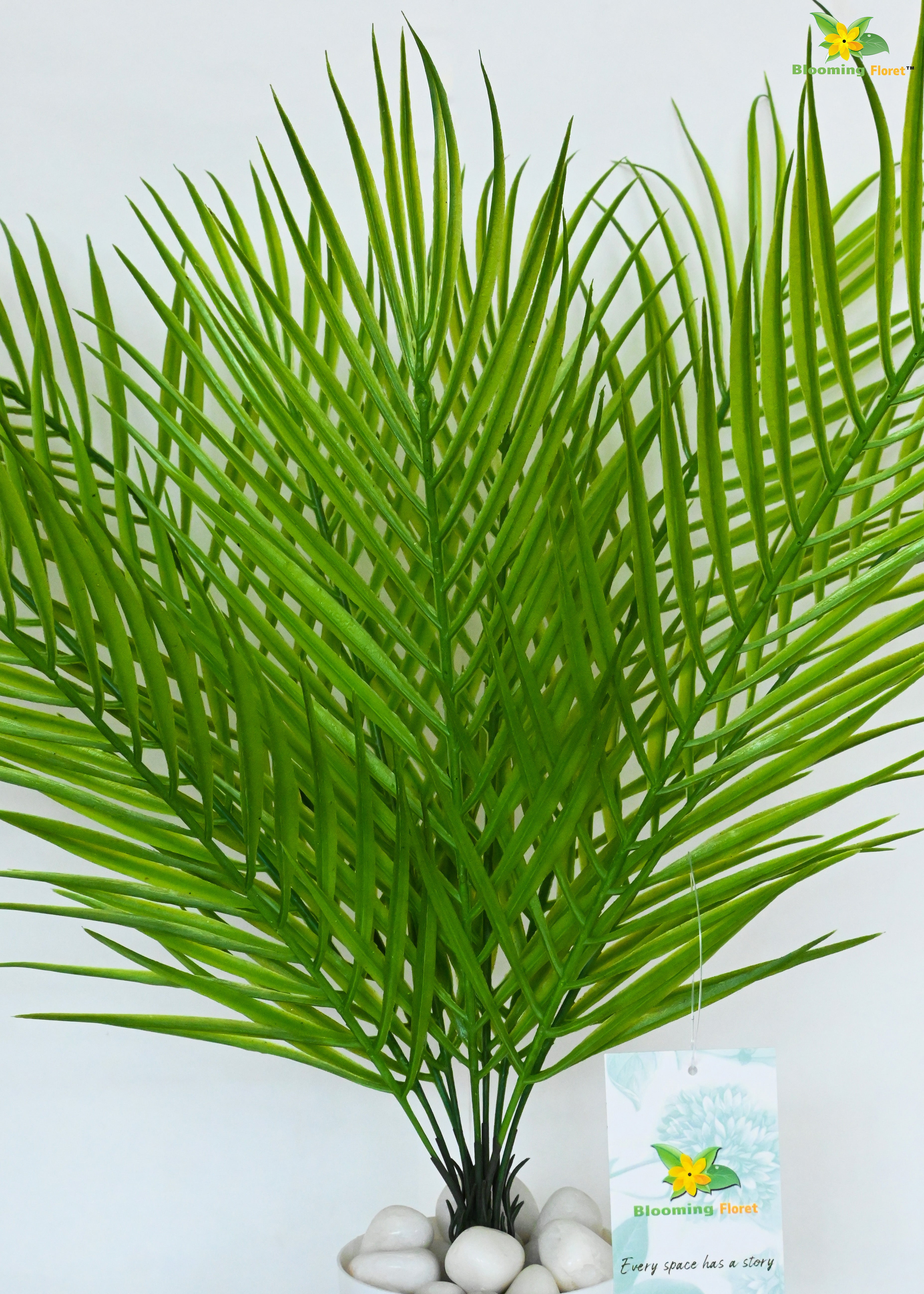 Eternal Zen Areca Palm Plant | Dark Green