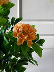 Artificial  Hydrangea Flower Bunch - Orange