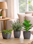 Coarse Textured Square Planter Pot | 13 cm | Set of 3
