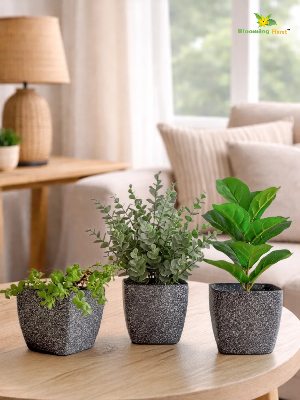 Coarse Textured Square Planter Pot | 13 cm | Set of 3