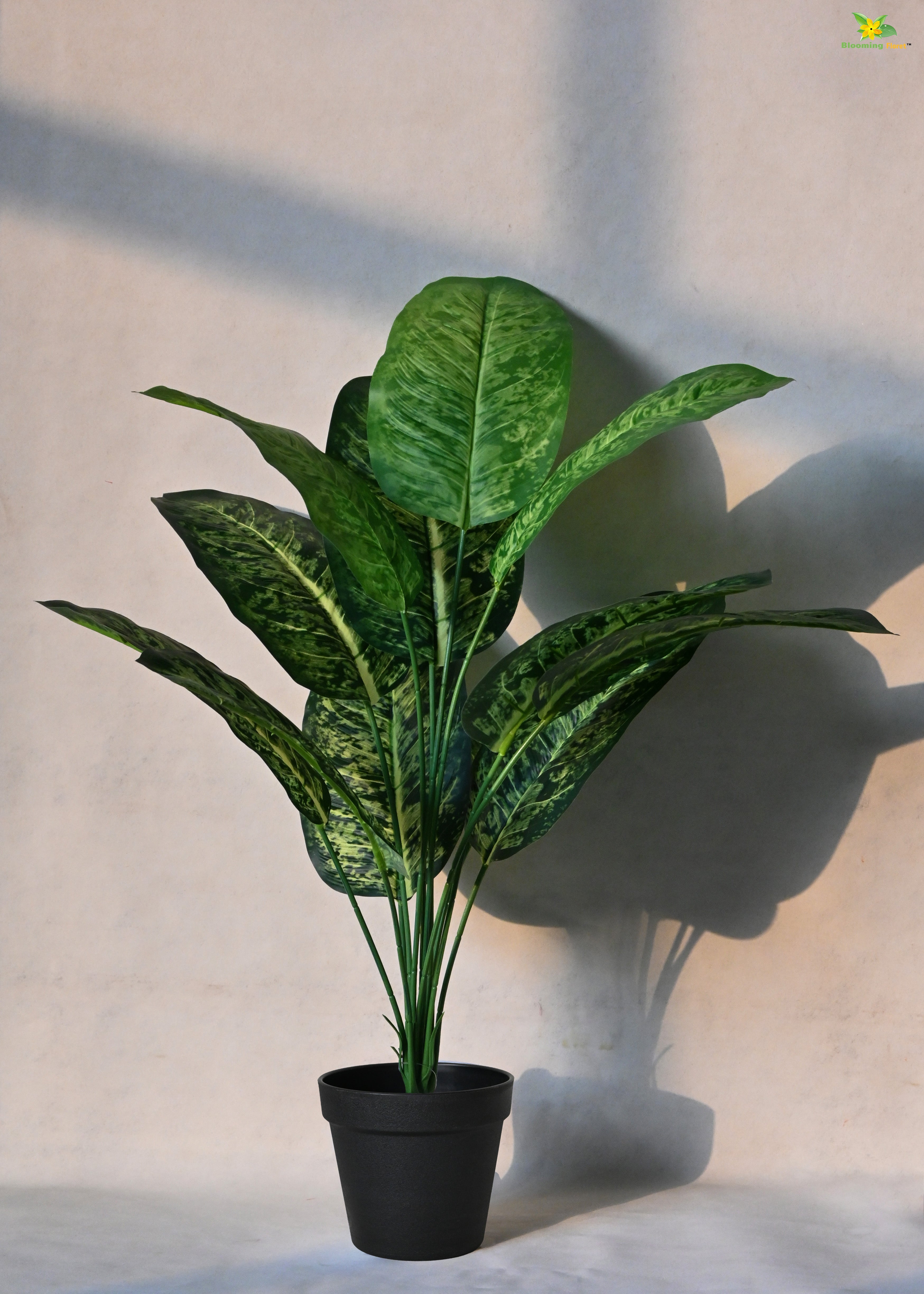 Artificial Dieffenbachia Plant for Decor 12 Leaves with Basic Pot | 63.5 cm