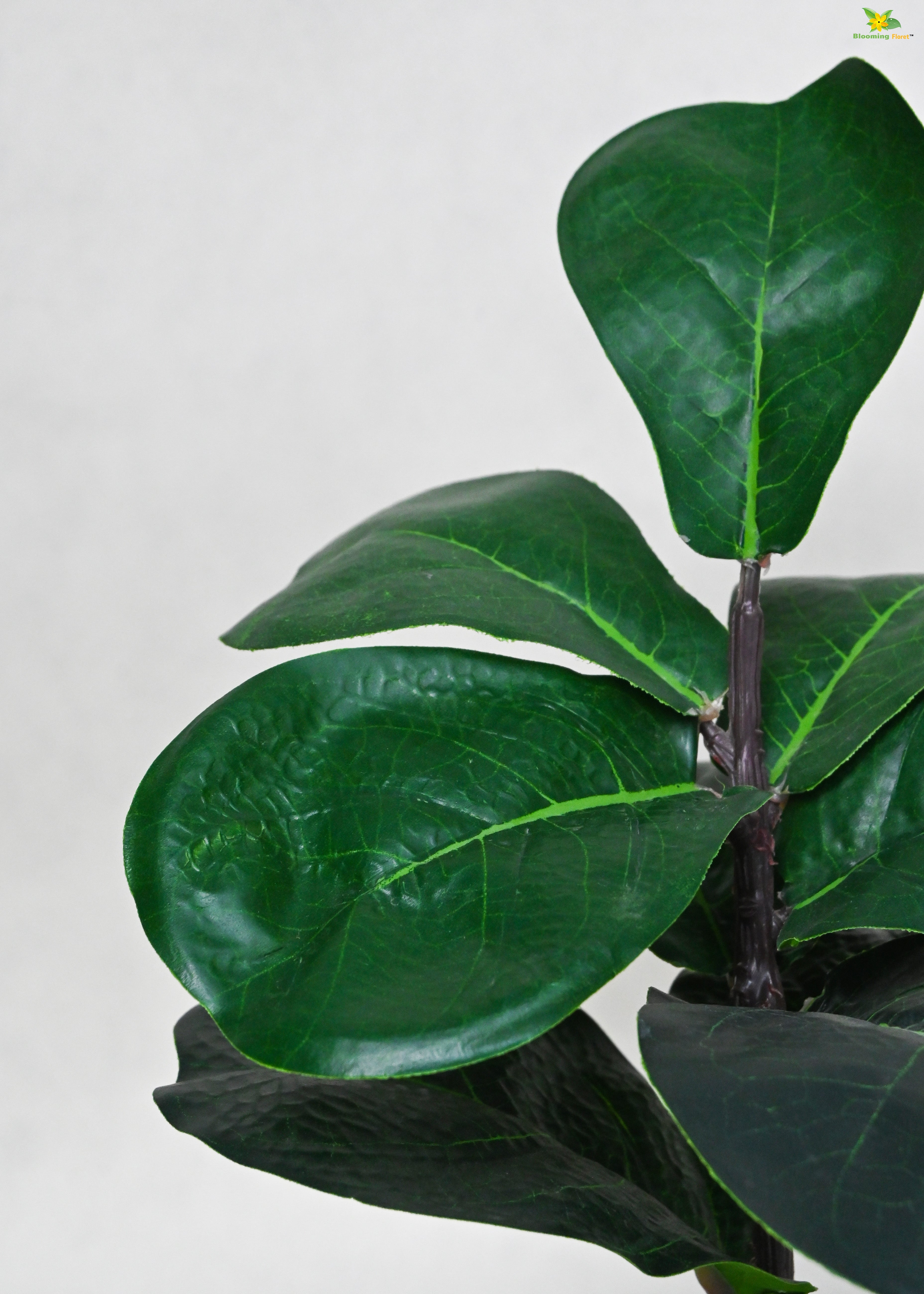 Artificial Fiddle-Leaf Fig Plant for Decor | 9 Leaves with Basic Pot | 27.9 cm