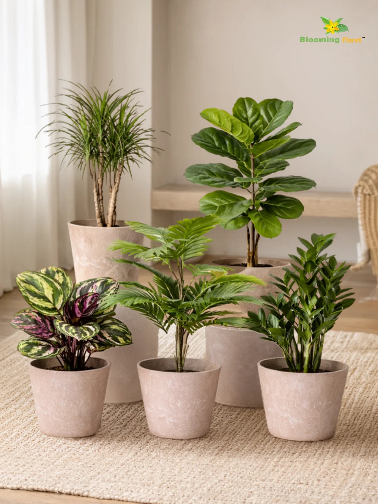 Modern Grace Poly Planter | Brown |15 cm | Set of 5