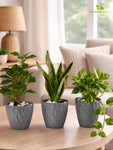 Diamond Pattern Round Planter | 13 cm | Set of 3