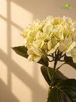 Hydrangea Flower Stick | White | 63 cm