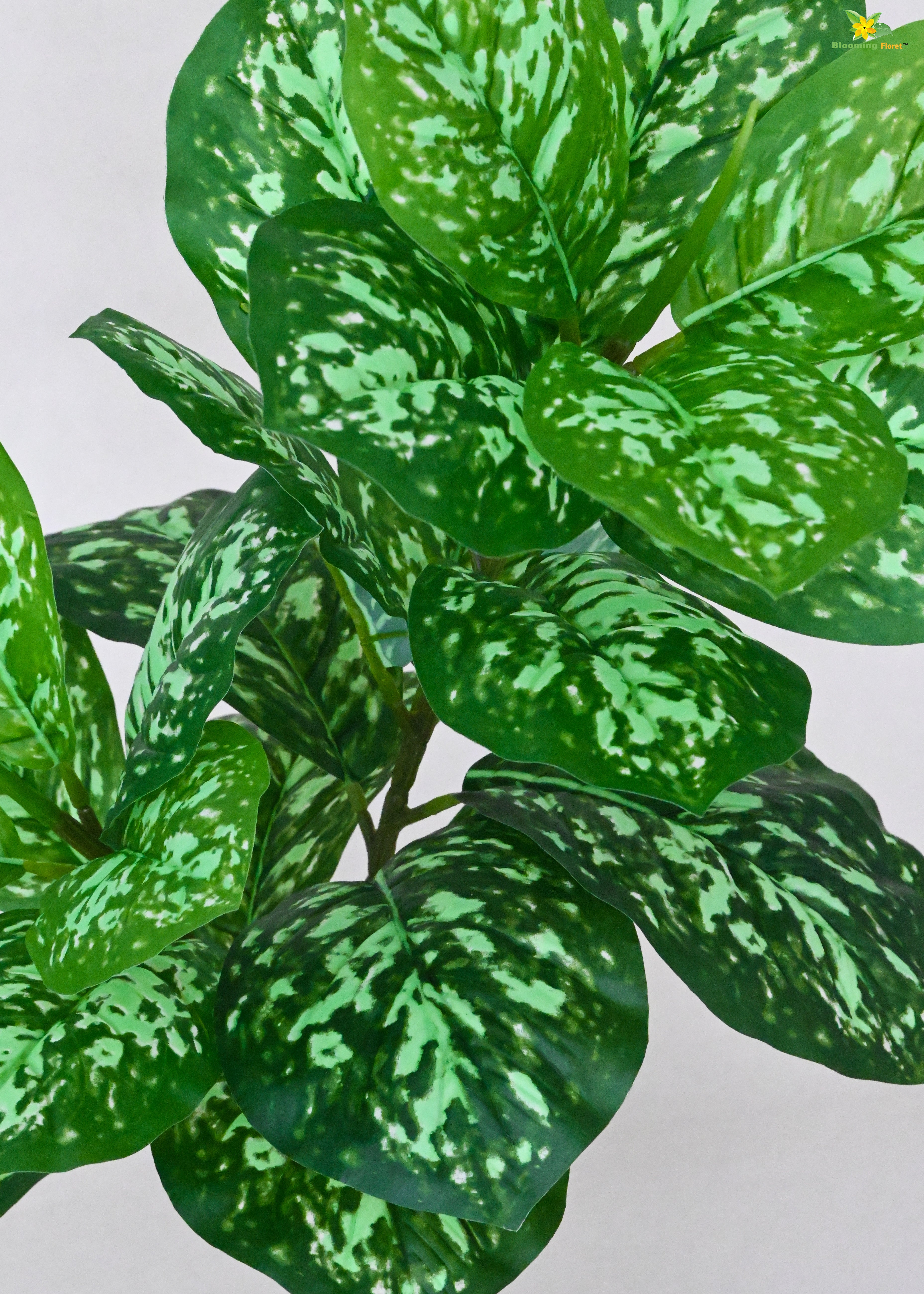 Artificial Aglaonema Plant for Decor | 24 Leaves with Basic Pot | 74.9 cm