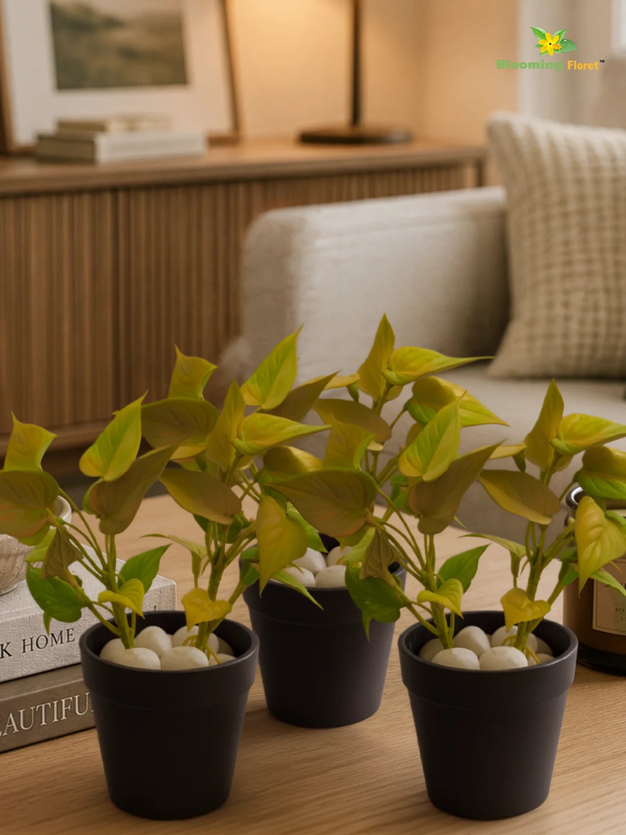 Artificial Money Plant Succulent | Army Green | 15 cm | Set of 3