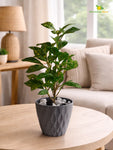Diamond Pattern Round Planter | 13 cm
