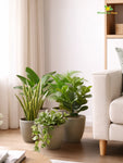Decorative Pots | Light Brown | 17 cm | Set of 5