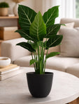Black Round Planter | 17 cm