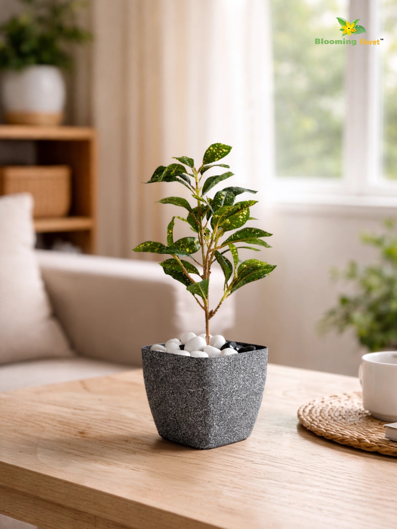 Coarse Textured Square Planter Pot | 10 cm