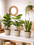 Modern Grace Poly Planter | Mustard Yellow | 15 cm | Set of 3