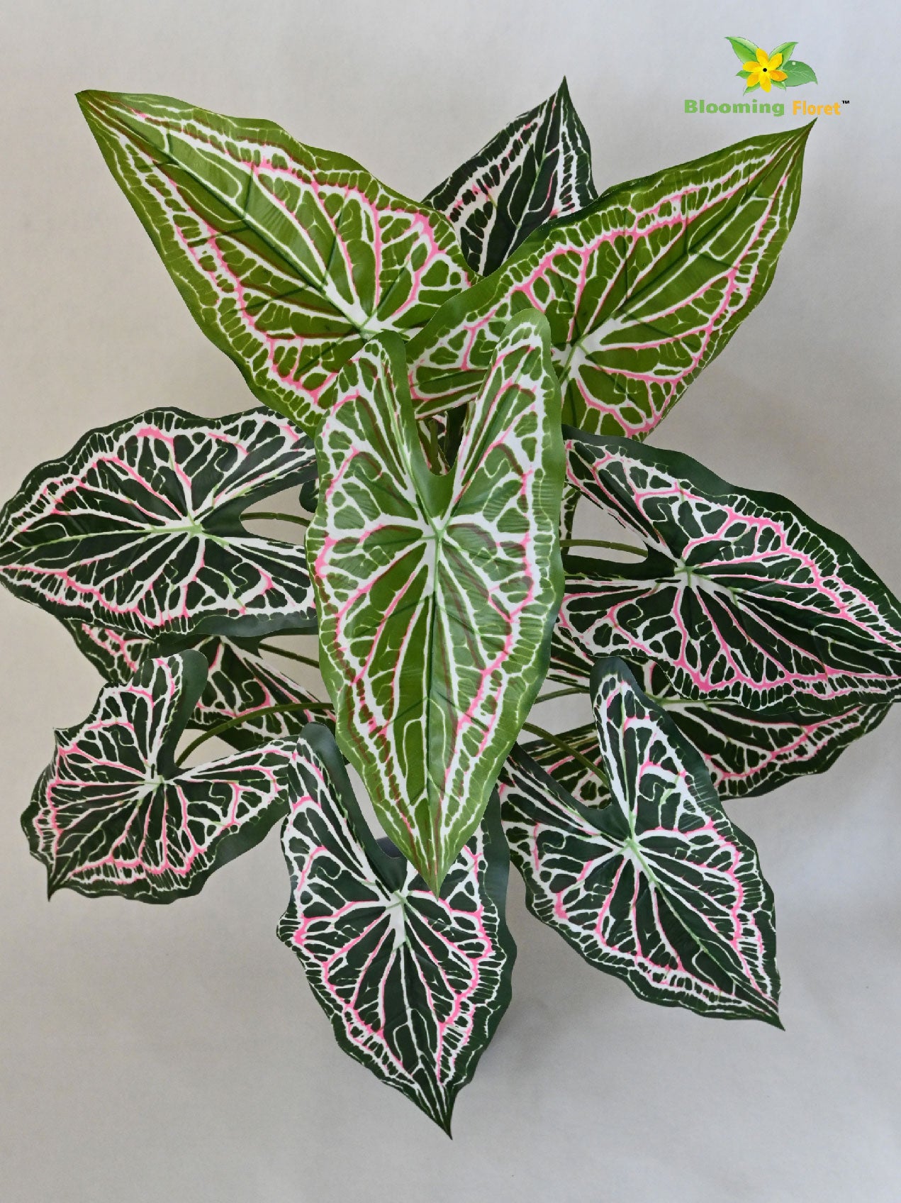 Artificial Web Pattern Caladium Plant – 78 cm, 12 Leaves, with Basic Pot
