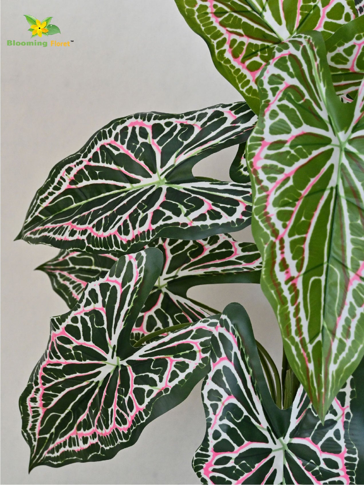 Artificial Web Pattern Caladium Plant – 78 cm, 12 Leaves, with Basic Pot
