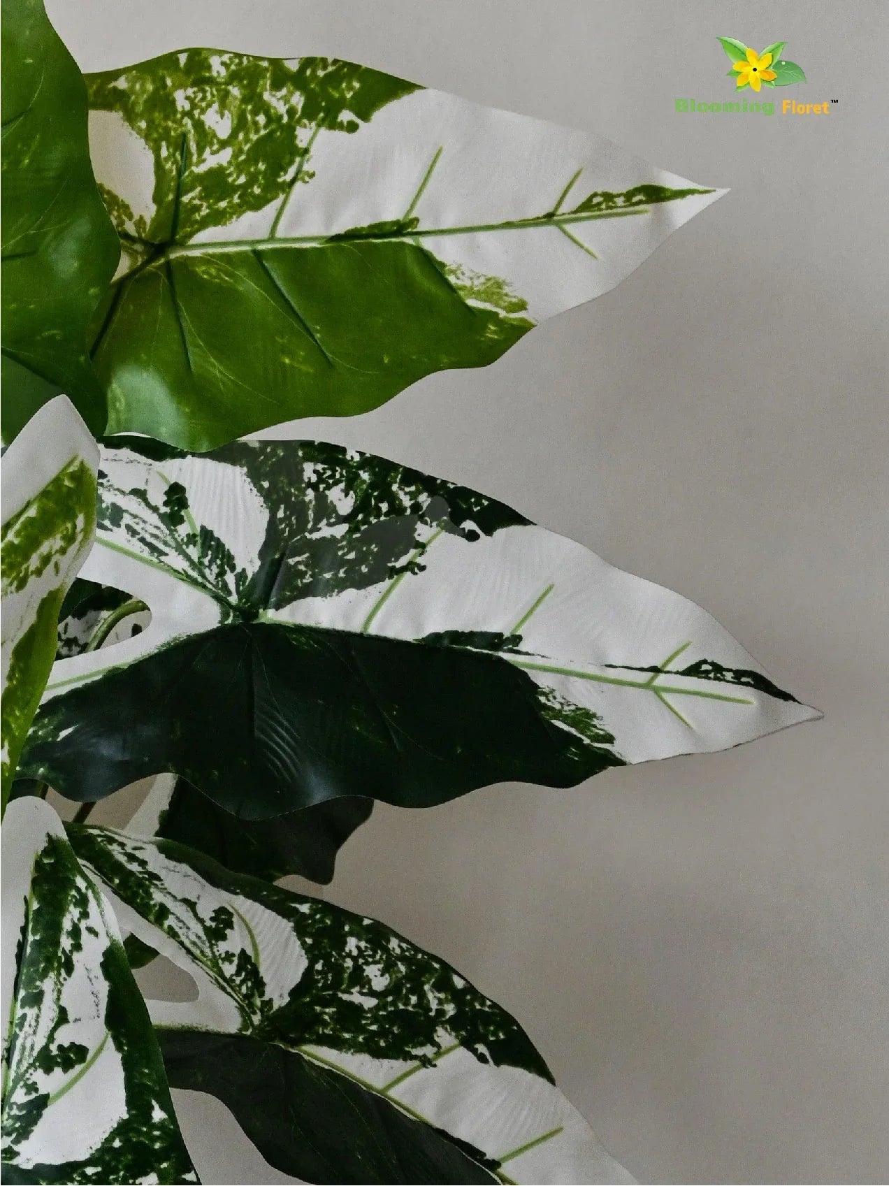 Artificial Caladium Plant – 78 cm, 12 Green and White Leaves, with Basic Pot