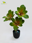 Artificial Kalanchoe Pick Plant For Decor 58.4 cm- 28 Light Green Leaves With Basic Pot