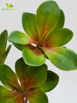 Artificial Kalanchoe Pick Plant For Decor 58.4 cm- 28 Light Green Leaves With Basic Pot