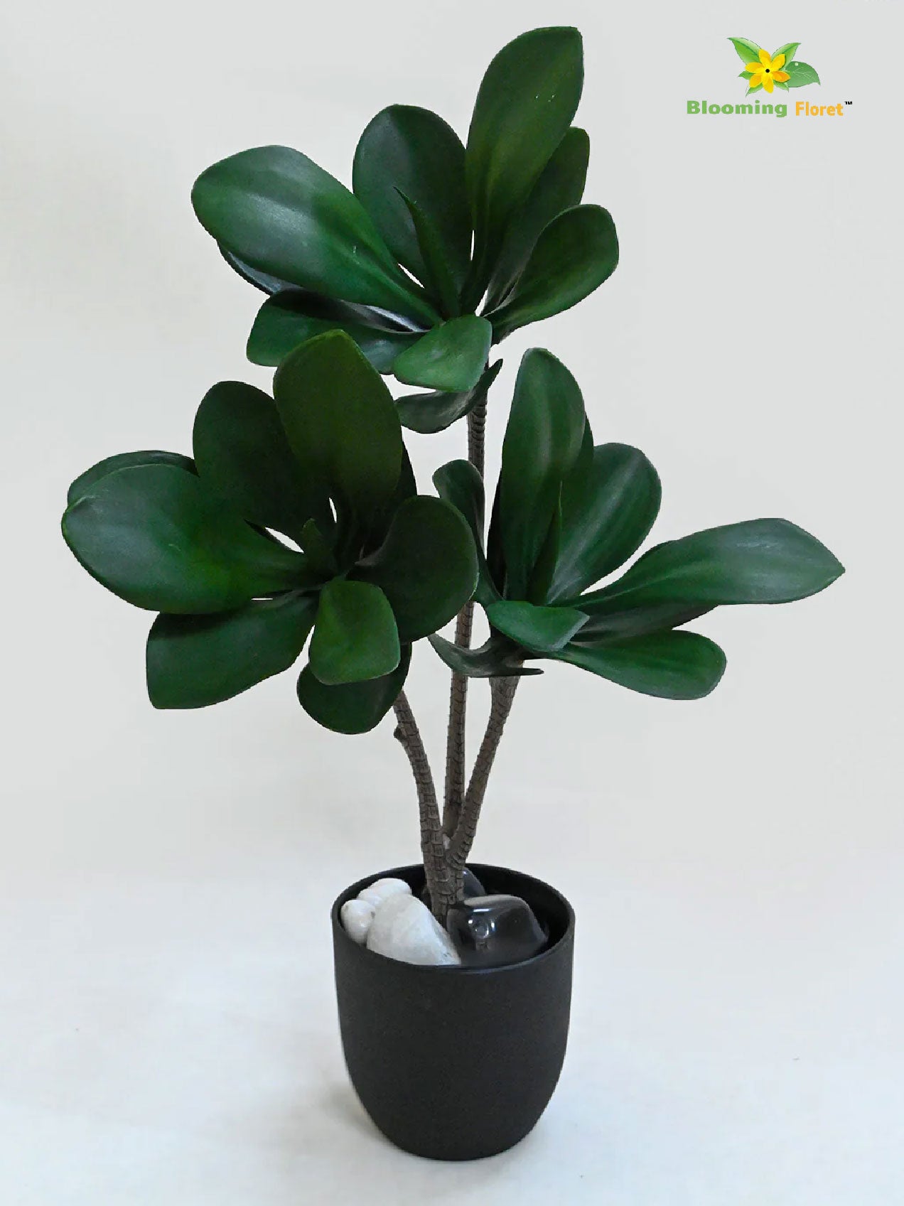 Artificial Kalanchoe Pick Plant For Decor 58.4 cm- 28 Dark Green Leaves With Basic Pot