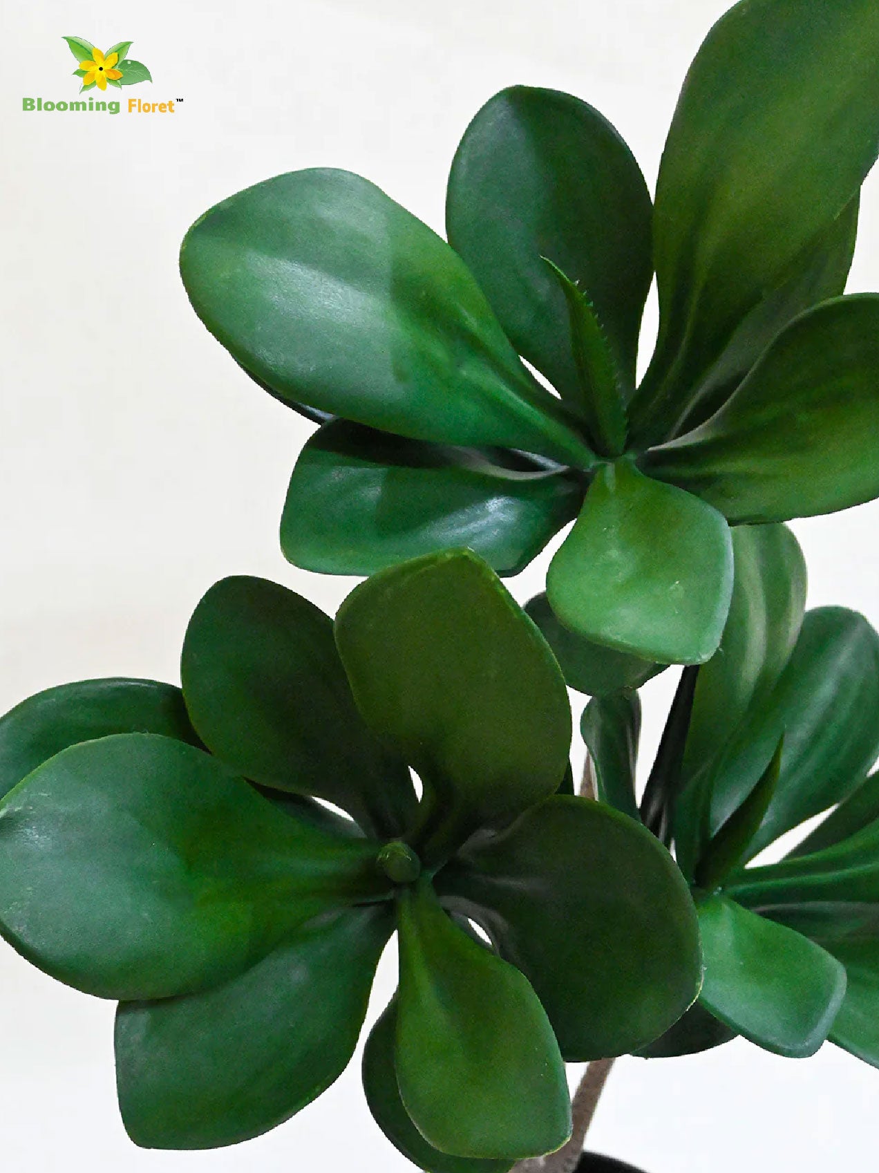 Artificial Kalanchoe Pick Plant For Decor 58.4 cm- 28 Dark Green Leaves With Basic Pot