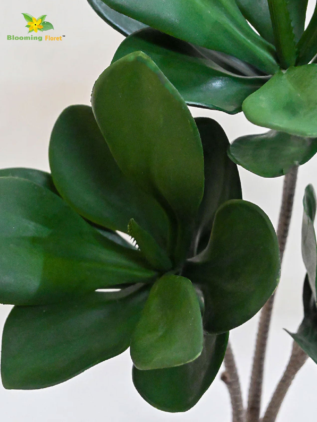 Artificial Kalanchoe Pick Plant For Decor 58.4 cm- 28 Dark Green Leaves With Basic Pot