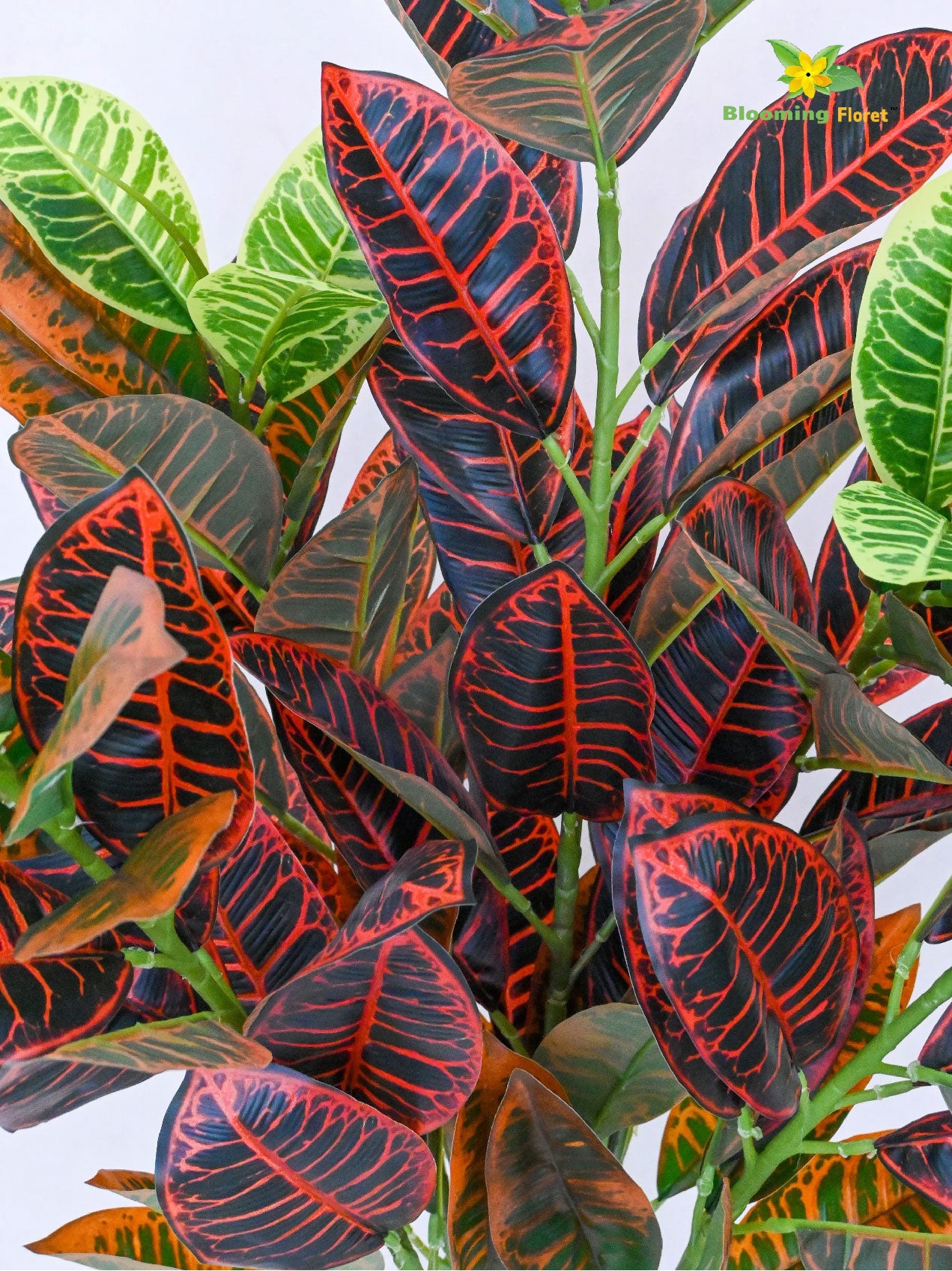 Artificial Garden Croton Plant – 85.9 cm, 104 Leaves, with Basic Pot