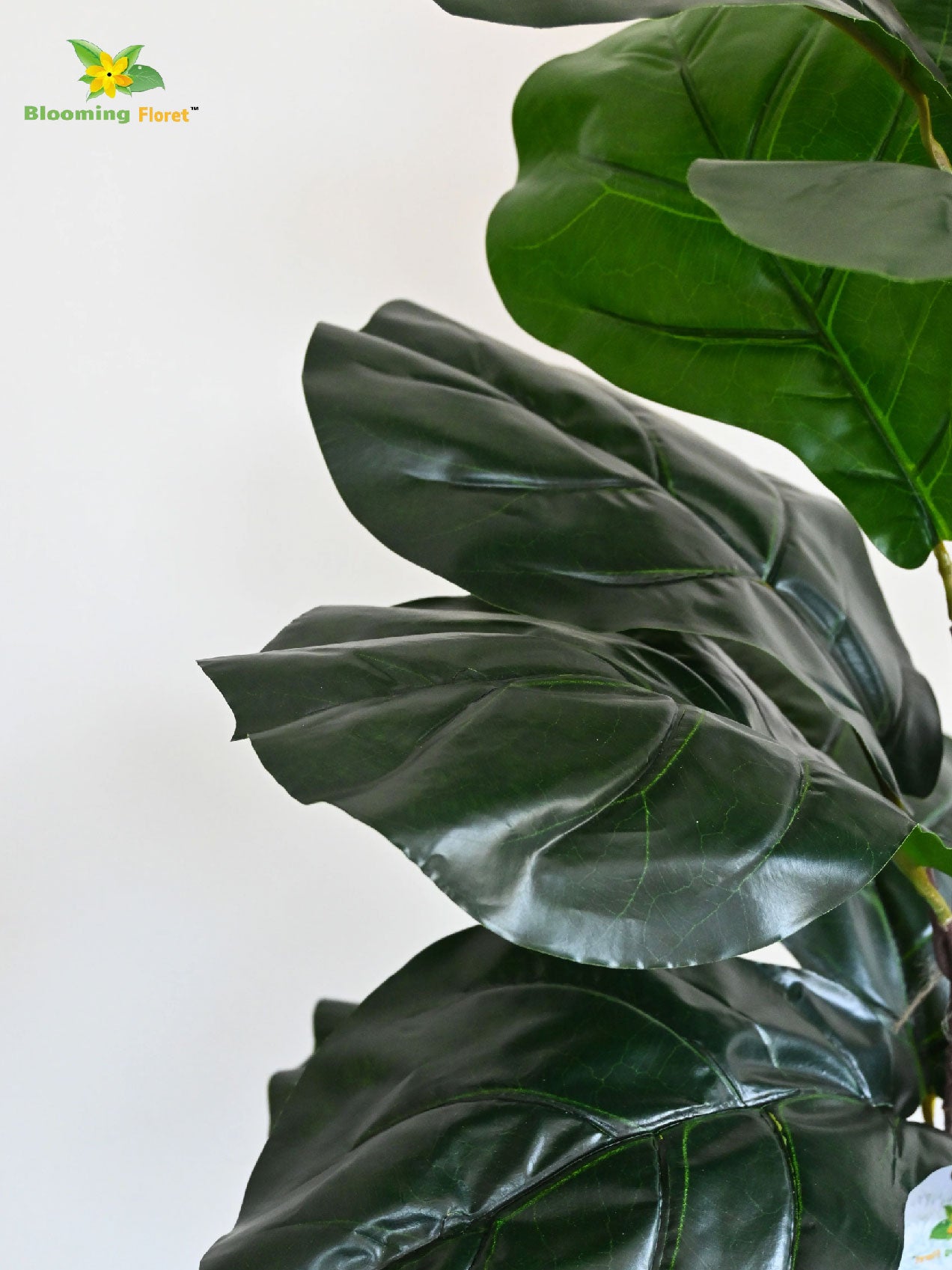 Artificial Fiddle-Leaf Fig Plant – 66 cm, 16 Leaves, Light & Dark Green, with Basic Pot