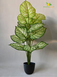Enchanted Artificial Devil’s Ivy Plant - 73 cm