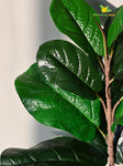 Artificial Fiddle-Leaf Fig Plant – 58.4 cm, 11 Leaves, Green Mix, with Basic Pot