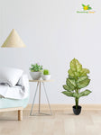 Enchanted Artificial Devil’s Ivy Plant - 73 cm
