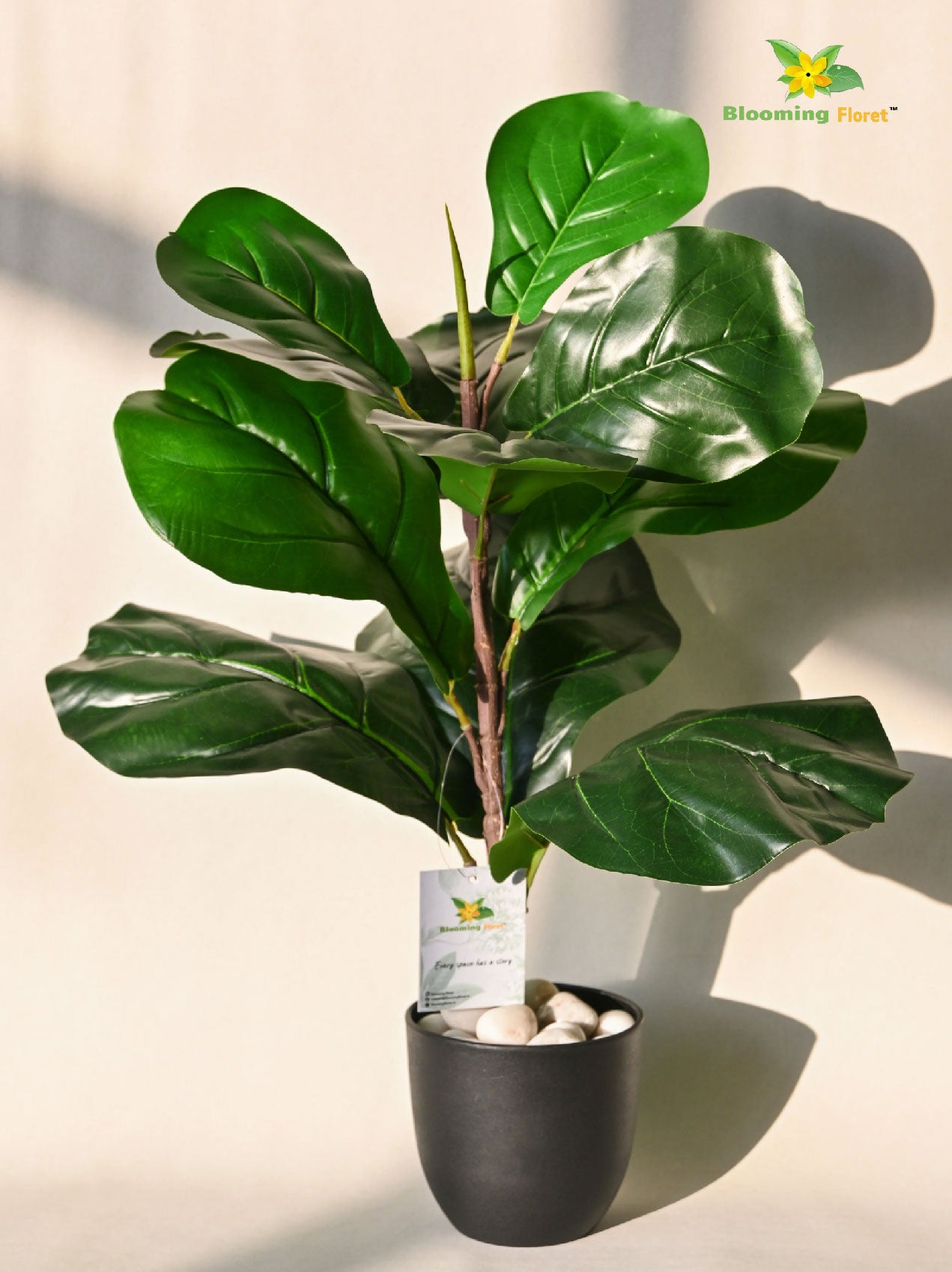 Artificial Fiddle-Leaf Fig Plant – 58.4 cm, 11 Leaves, Wide Leaf, with Basic Pot
