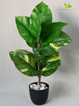Artificial Dieffenbachia Honeydew Plant – 58.9 cm, 11 Leaves, with Basic Pot