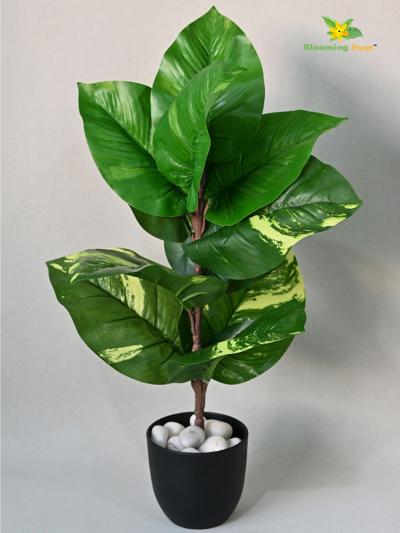 Artificial Dieffenbachia Honeydew Plant – 58.9 cm, 11 Leaves, with Basic Pot