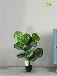 Artificial Philodendron Plant – 73.5 cm, 18 Patterned Green Leaves, with Basic Pot