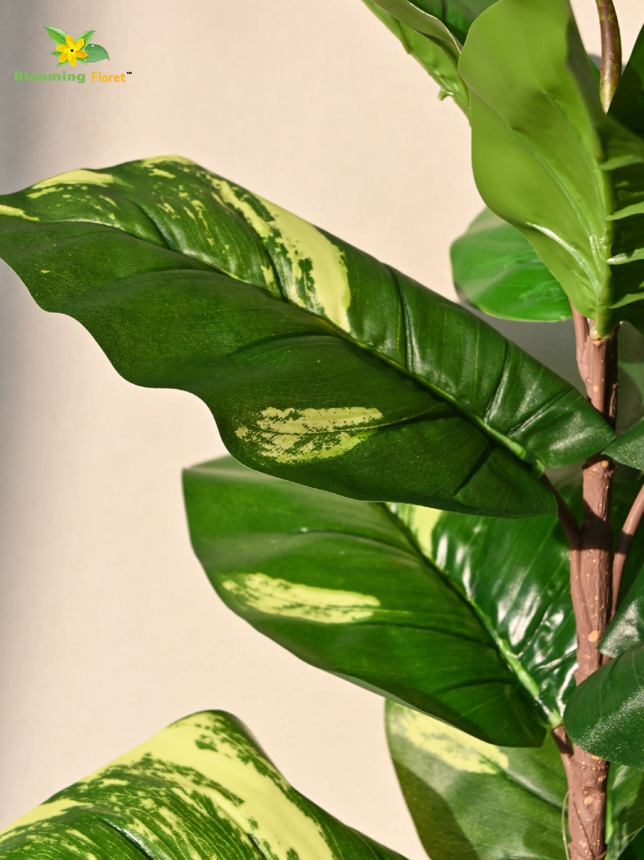 Artificial Dieffenbachia Honeydew Plant – 58.9 cm, 11 Leaves, with Basic Pot