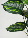 Artificial Philodendron Plant – 73.5 cm, 18 Patterned Green Leaves, with Basic Pot