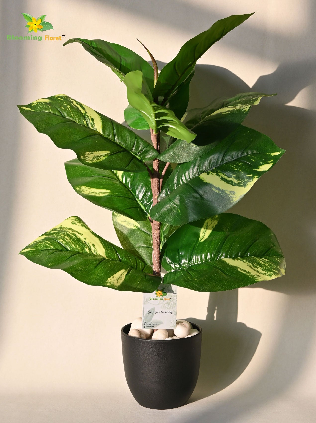 Artificial Dieffenbachia Honeydew Plant – 58.9 cm, 11 Leaves, with Basic Pot
