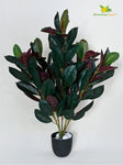 Artificial Rubber Plant – 85 cm, 104 Green and Red Leaves, with Basic Pot