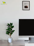 Artificial Zamioculcas Zamiifolia Dark Green Plant – 45 cm, with Basic Pot
