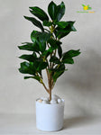 Artificial Zamioculcas Zamiifolia Dark Green Plant – 45 cm, with Basic Pot