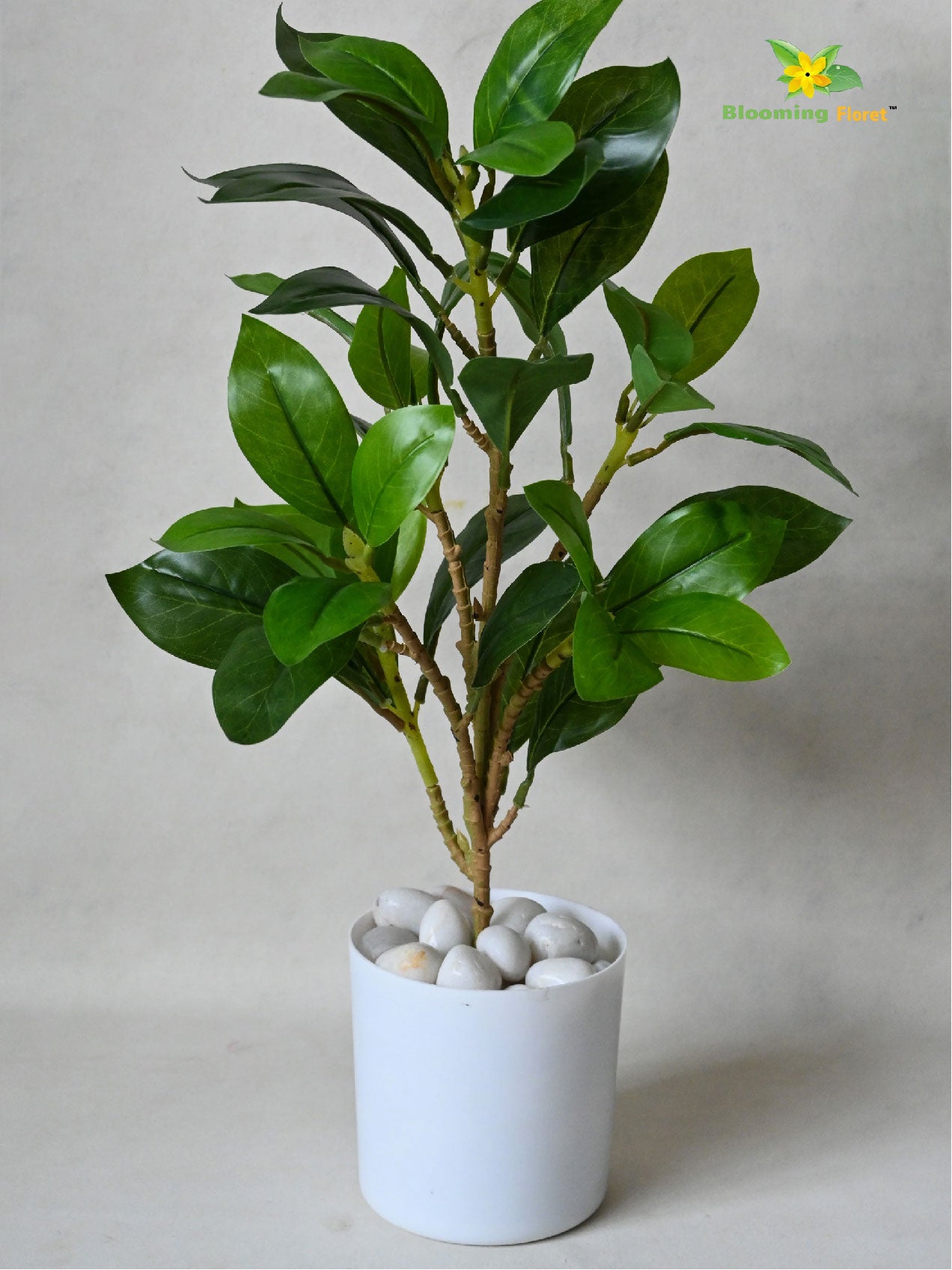 Artificial Zamioculcas Zamiifolia Green Plant – 45 cm, with Basic Pot